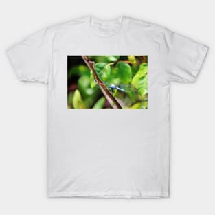 Eastern Pondhawk T-Shirt